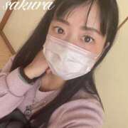 ヒメ日記 2025/03/19 18:47 投稿 さくら 華美人