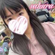 ヒメ日記 2025/04/05 21:55 投稿 さくら 華美人