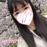 ヒメ日記 2025/04/06 15:15 投稿 さくら 華美人