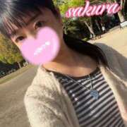 ヒメ日記 2025/04/09 15:54 投稿 さくら 華美人