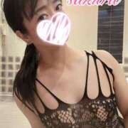 ヒメ日記 2025/04/12 13:12 投稿 さくら 華美人