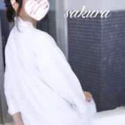 ヒメ日記 2025/04/13 09:28 投稿 さくら 華美人