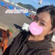 ヒメ日記 2025/04/14 12:59 投稿 さくら 華美人