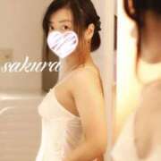 ヒメ日記 2025/04/20 10:12 投稿 さくら 華美人