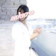 ヒメ日記 2025/04/25 22:31 投稿 さくら 華美人