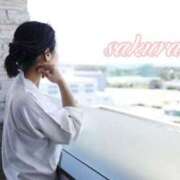 ヒメ日記 2025/06/05 09:29 投稿 さくら 華美人