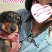 ヒメ日記 2025/06/13 08:59 投稿 さくら 華美人