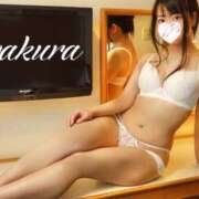 ヒメ日記 2025/06/13 13:29 投稿 さくら 華美人