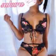 ヒメ日記 2025/06/30 14:47 投稿 さくら 華美人