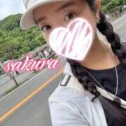 ヒメ日記 2025/08/03 09:33 投稿 さくら 華美人