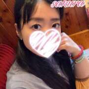 ヒメ日記 2025/08/21 18:21 投稿 さくら 華美人