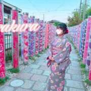 ヒメ日記 2025/09/11 13:00 投稿 さくら 華美人