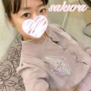 ヒメ日記 2025/09/22 09:23 投稿 さくら 華美人