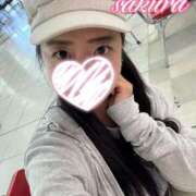 ヒメ日記 2025/09/24 17:55 投稿 さくら 華美人