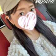 ヒメ日記 2025/10/06 16:05 投稿 さくら 華美人