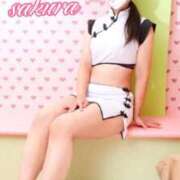 ヒメ日記 2025/10/27 11:51 投稿 さくら 華美人