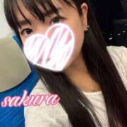 ヒメ日記 2025/10/29 21:53 投稿 さくら 華美人