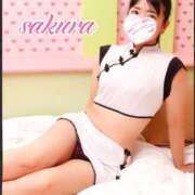 ヒメ日記 2025/11/04 09:38 投稿 さくら 華美人