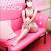 ヒメ日記 2025/11/04 11:28 投稿 さくら 華美人