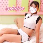 ヒメ日記 2025/11/10 15:59 投稿 さくら 華美人