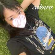 ヒメ日記 2025/11/11 10:01 投稿 さくら 華美人