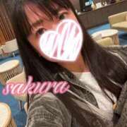 ヒメ日記 2025/11/12 20:54 投稿 さくら 華美人