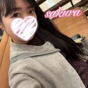 ヒメ日記 2025/11/13 15:42 投稿 さくら 華美人