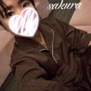 ヒメ日記 2025/11/14 12:55 投稿 さくら 華美人