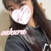 ヒメ日記 2025/11/18 09:34 投稿 さくら 華美人