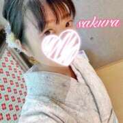 ヒメ日記 2025/11/29 12:40 投稿 さくら 華美人