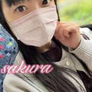 ヒメ日記 2025/12/03 13:07 投稿 さくら 華美人