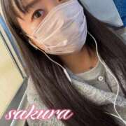 ヒメ日記 2025/12/11 09:41 投稿 さくら 華美人