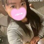 ヒメ日記 2025/12/27 09:49 投稿 さくら 華美人