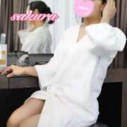 ヒメ日記 2025/12/29 16:02 投稿 さくら 華美人