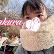 ヒメ日記 2026/01/02 18:51 投稿 さくら 華美人