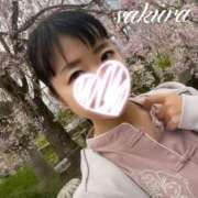 ヒメ日記 2026/02/05 13:52 投稿 さくら 華美人