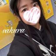 ヒメ日記 2026/02/07 07:56 投稿 さくら 華美人