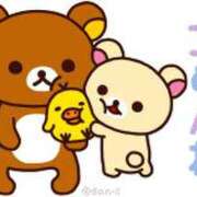 ヒメ日記 2026/02/09 10:17 投稿 さくら 華美人