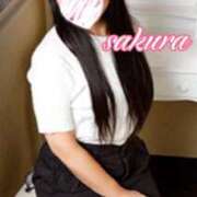 ヒメ日記 2026/02/13 13:03 投稿 さくら 華美人