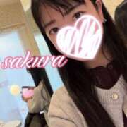 ヒメ日記 2026/02/18 19:02 投稿 さくら 華美人