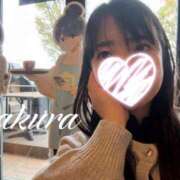 ヒメ日記 2026/03/03 16:07 投稿 さくら 華美人