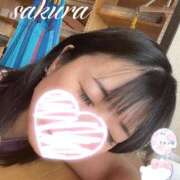 ヒメ日記 2026/03/05 17:29 投稿 さくら 華美人