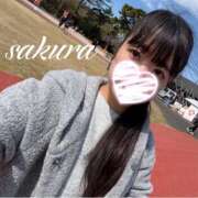 ヒメ日記 2026/03/07 14:45 投稿 さくら 華美人