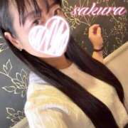 ヒメ日記 2026/03/11 09:44 投稿 さくら 華美人