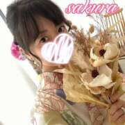 ヒメ日記 2026/03/11 18:33 投稿 さくら 華美人