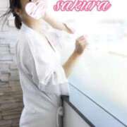 ヒメ日記 2026/03/13 12:39 投稿 さくら 華美人