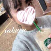 ヒメ日記 2026/03/14 10:15 投稿 さくら 華美人