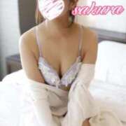 ヒメ日記 2026/03/15 11:51 投稿 さくら 華美人