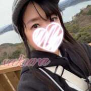 ヒメ日記 2026/03/17 20:38 投稿 さくら 華美人