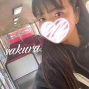 ヒメ日記 2026/03/18 21:10 投稿 さくら 華美人